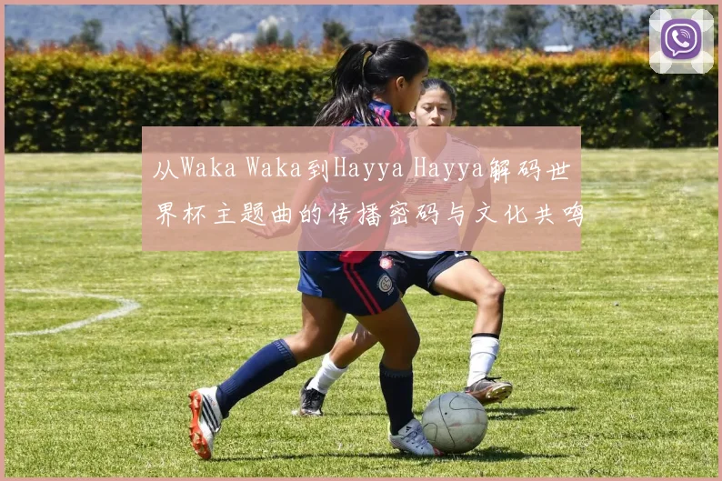 从Waka Waka到Hayya Hayya解码世界杯主题曲的传播密码与文化共鸣