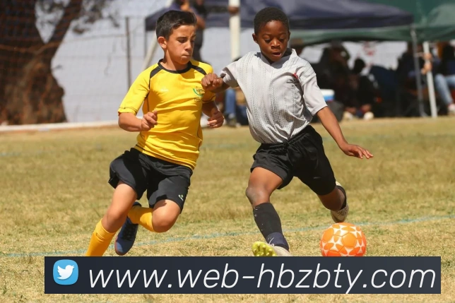 黑白直播体育平台生态图