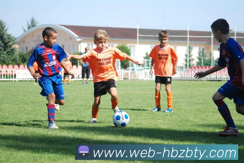 黑白直播体育全站App